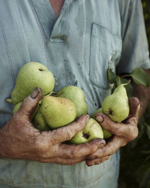 Premium Fruits (Price on Request)