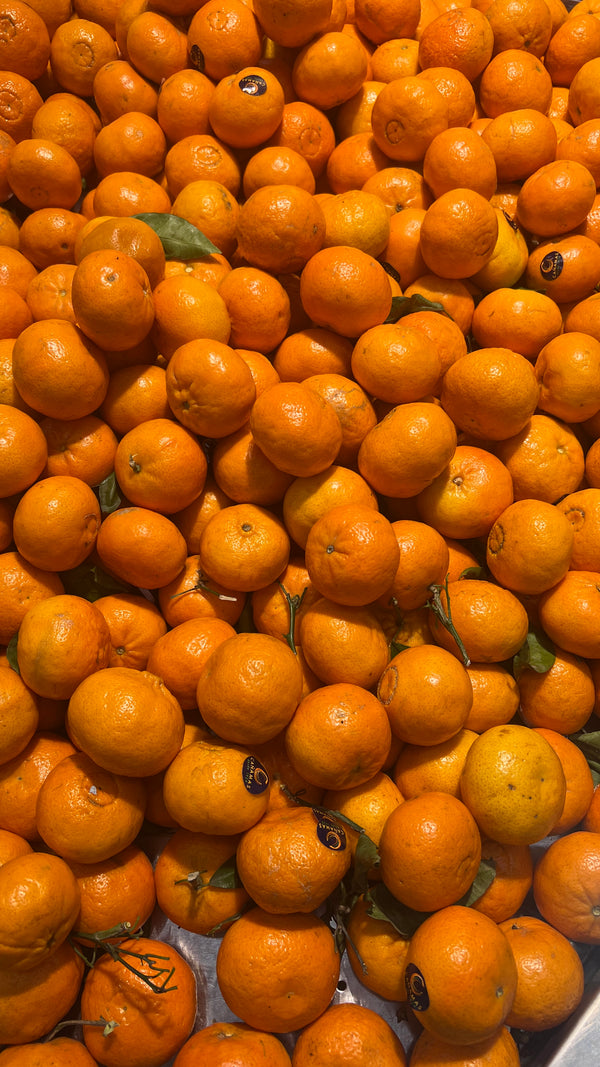 Premium Fruits (Price on Request)