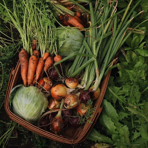 Premium Vegetables (Price on Request)